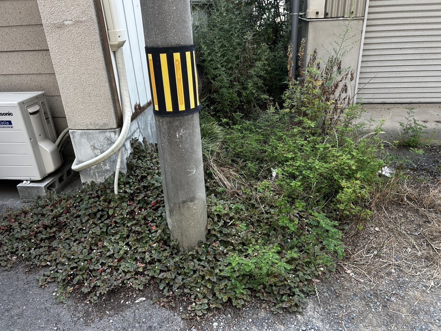 【高松市】オールクリーンサービス　草抜き・草処分