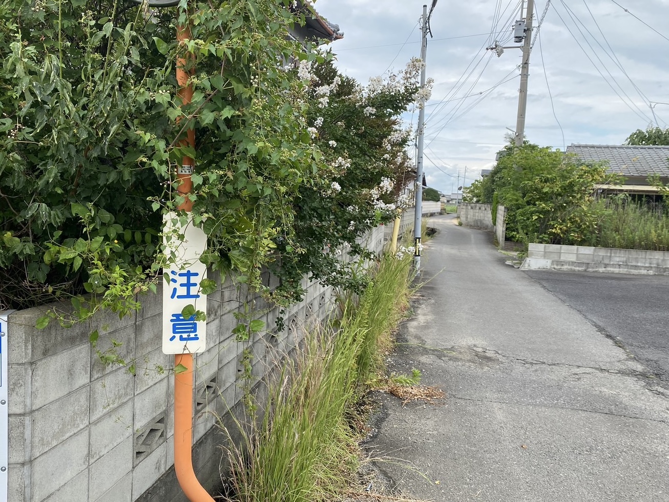 【高松市】木の剪定　草処分　2tトラック1台分