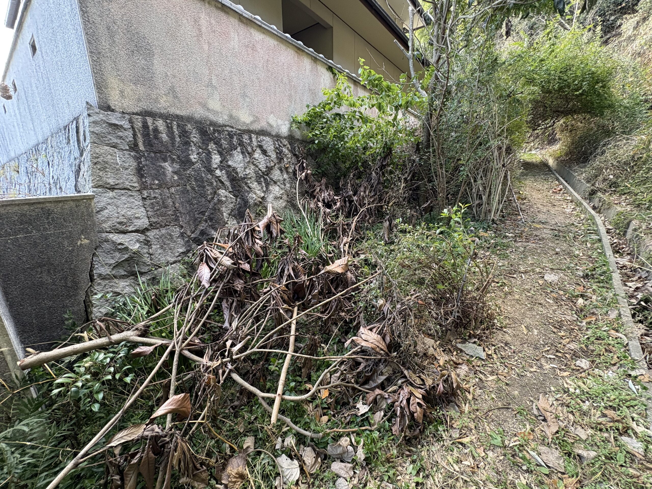 【高松市】オールクリーンサービス　木の伐採、草刈り　木くず・草処分