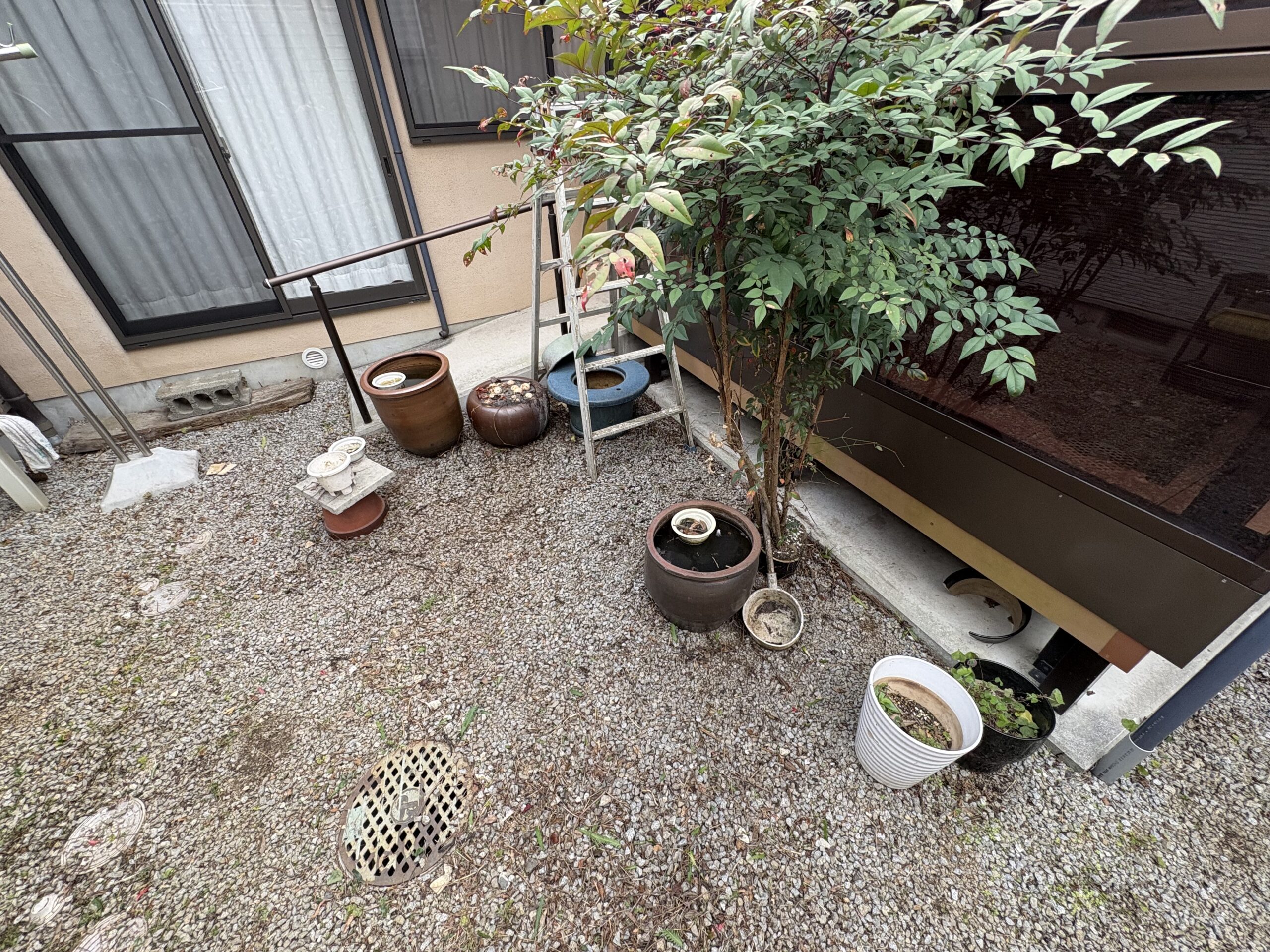 【高松市】オールクリーンサービス　剪定、草抜き・草処分